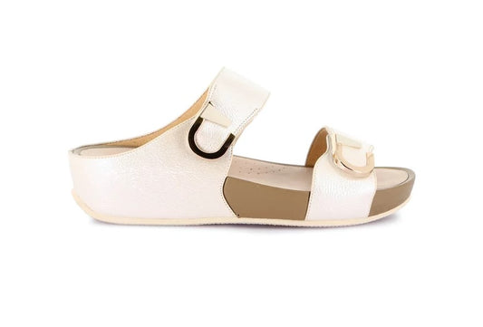 CI3117 - Ciabatta - Grunland