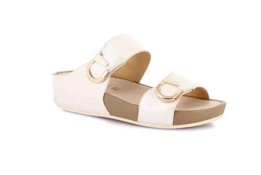 CI3117 - Ciabatta - Grunland