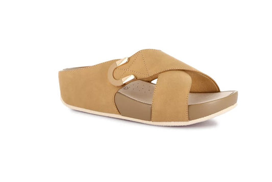 CI3116_C - Ciabatta - Grunland