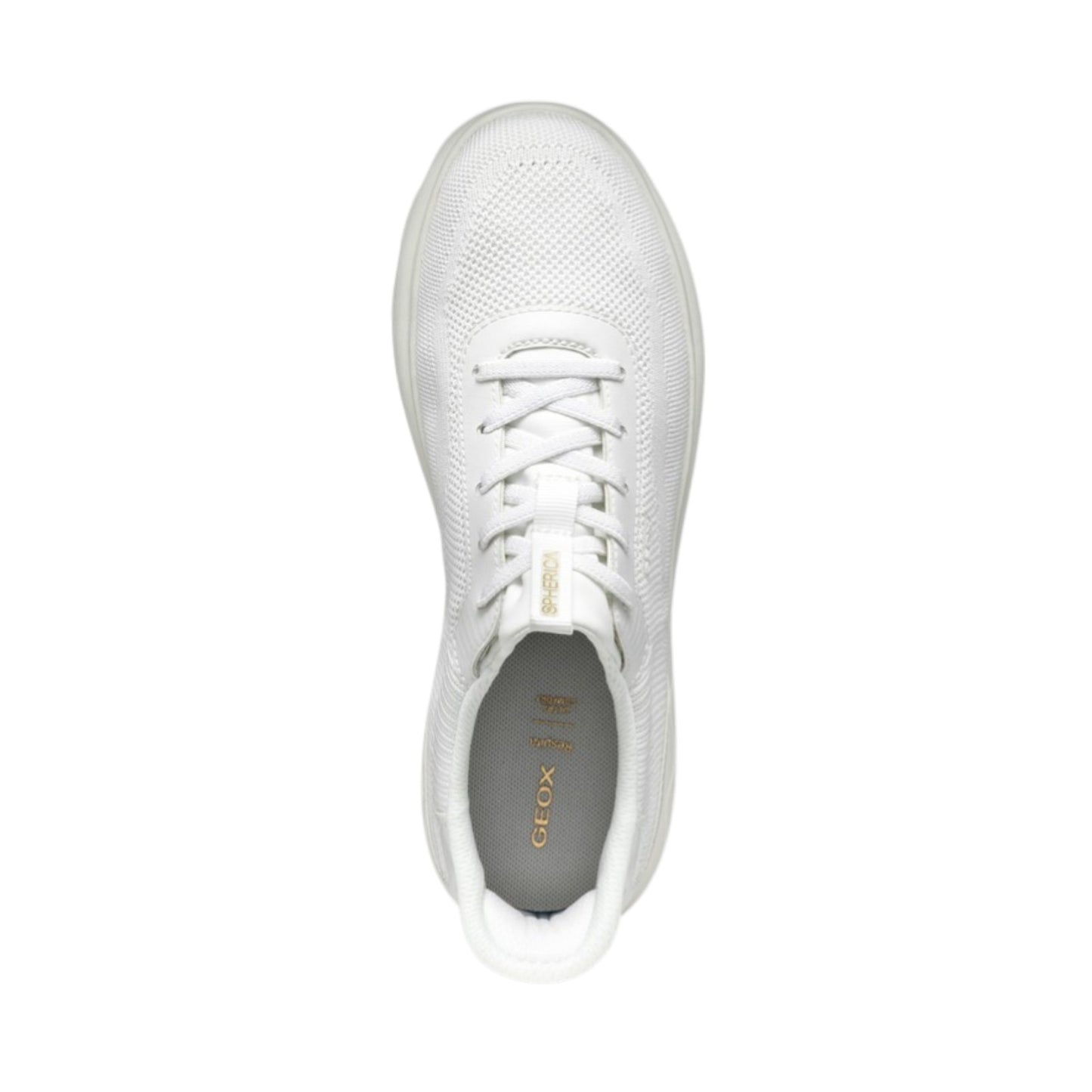 D557MA 06KBC C1000 - Sneakers - GEOX