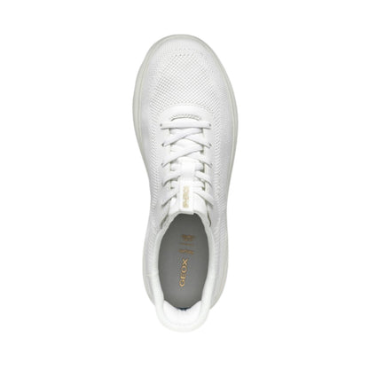 D557MA 06KBC C1000 - Sneakers - GEOX